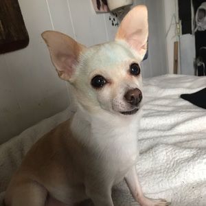 Meet your Posher, Tristan